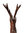 Hirsch Figur handgeschnitzt aus Lindenholz, sehr groß, gebeizt, dunkelbraun