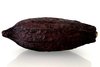 XXL Riesenfrucht Kakaoschote 15-22 cm
