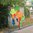3 Stück Windspiel bunter Regenbogen-Kinder-Karpfen 75 cm x 35 cm Nylon - Windsack